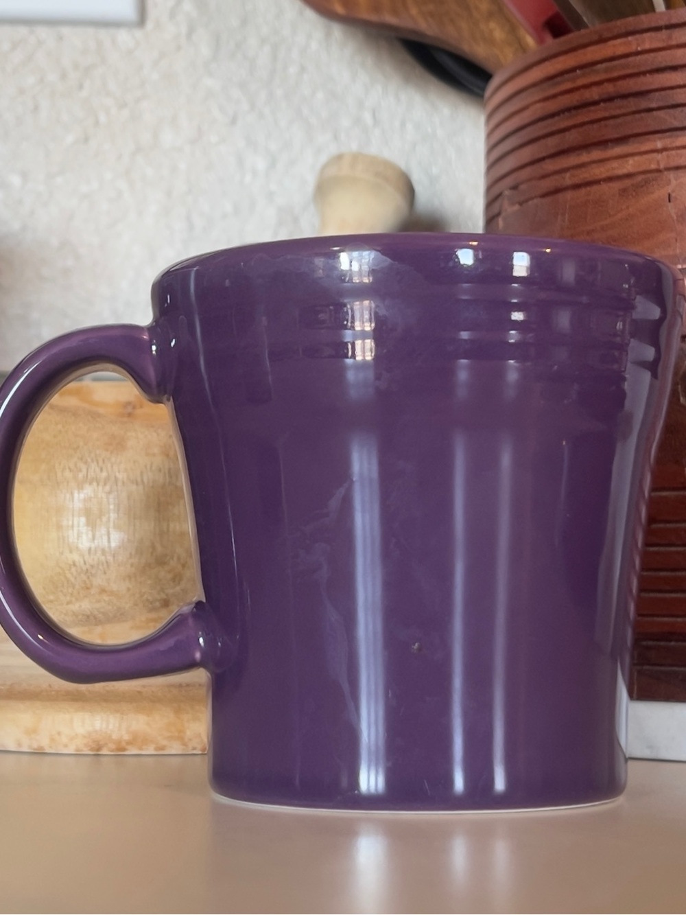 Fiesta Mug